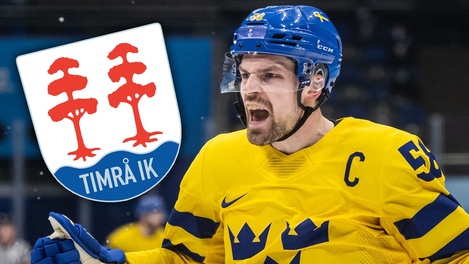 (23011) Anton Lander