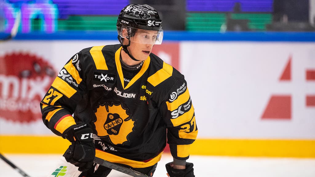 (11784) Robin Alvarez/Skellefteå