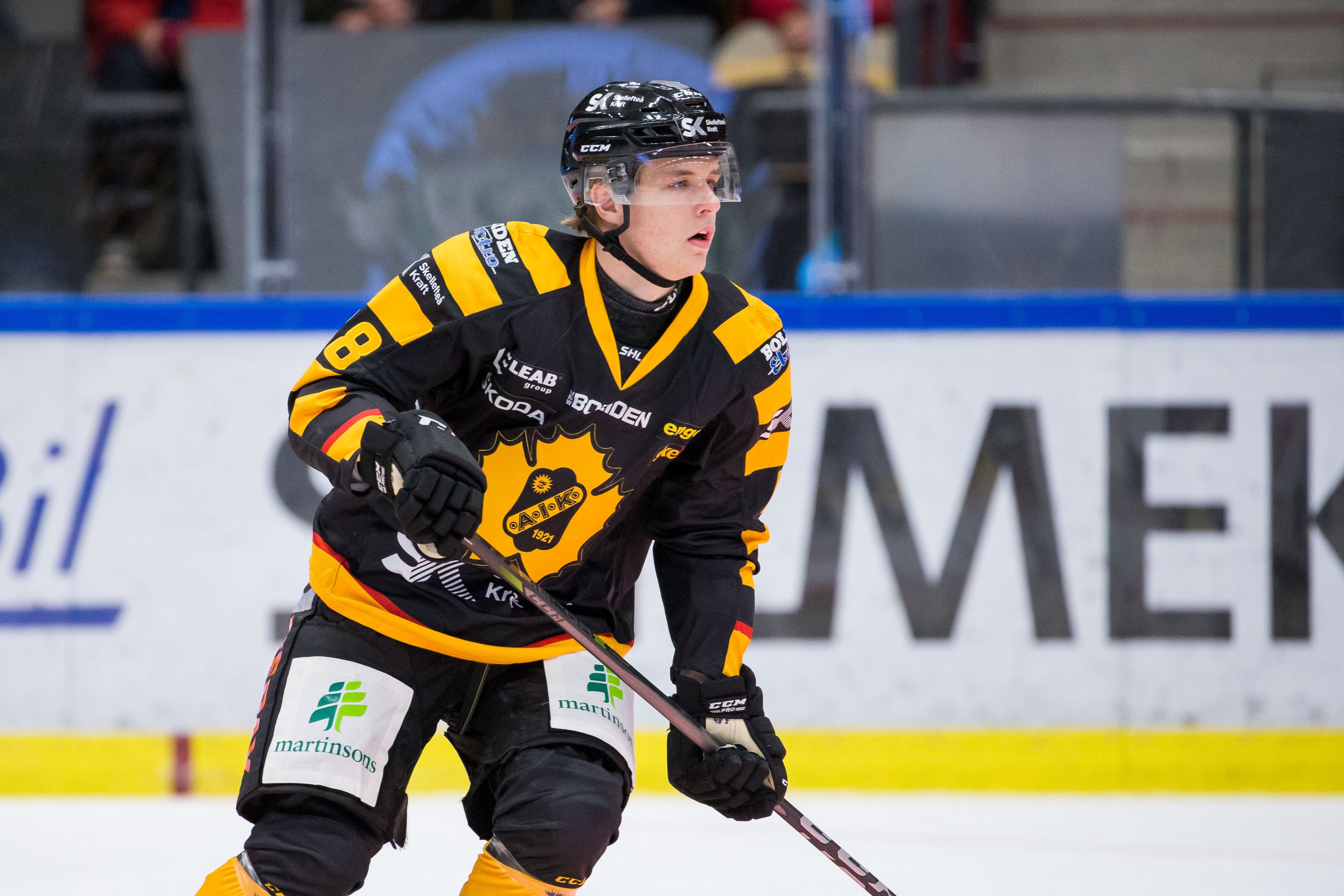 (8450) Jonatan Berggren