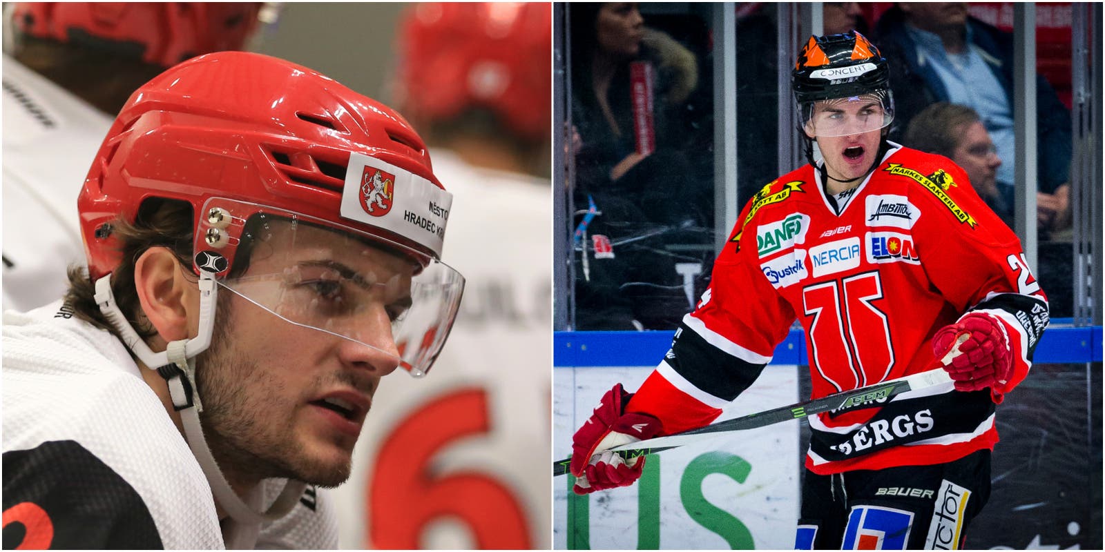 (12377) Petr Zamorsky