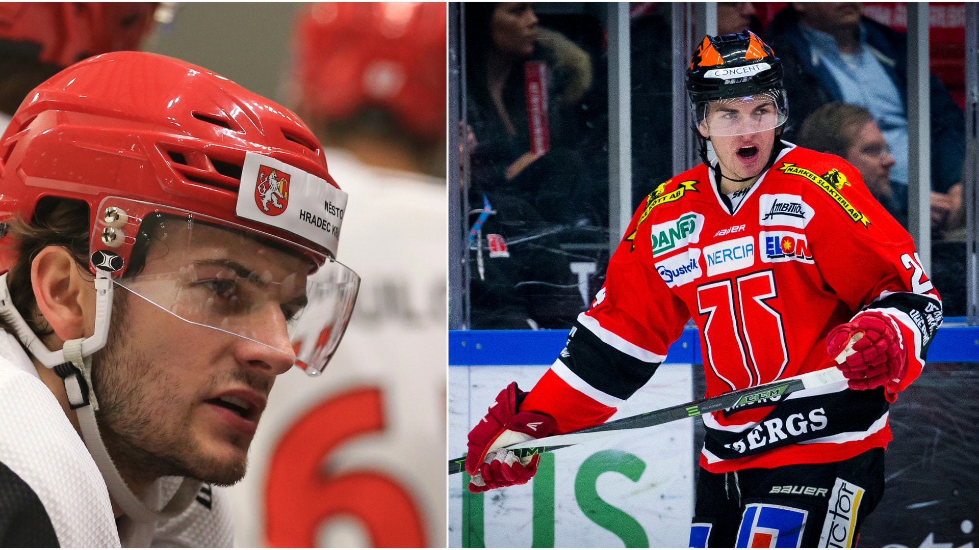 (12377) Petr Zamorsky