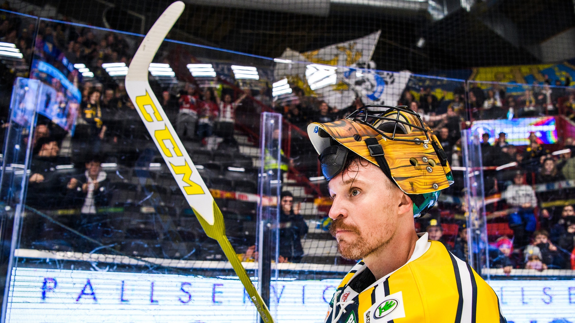 Maxim Thoré/Bildbyrån
