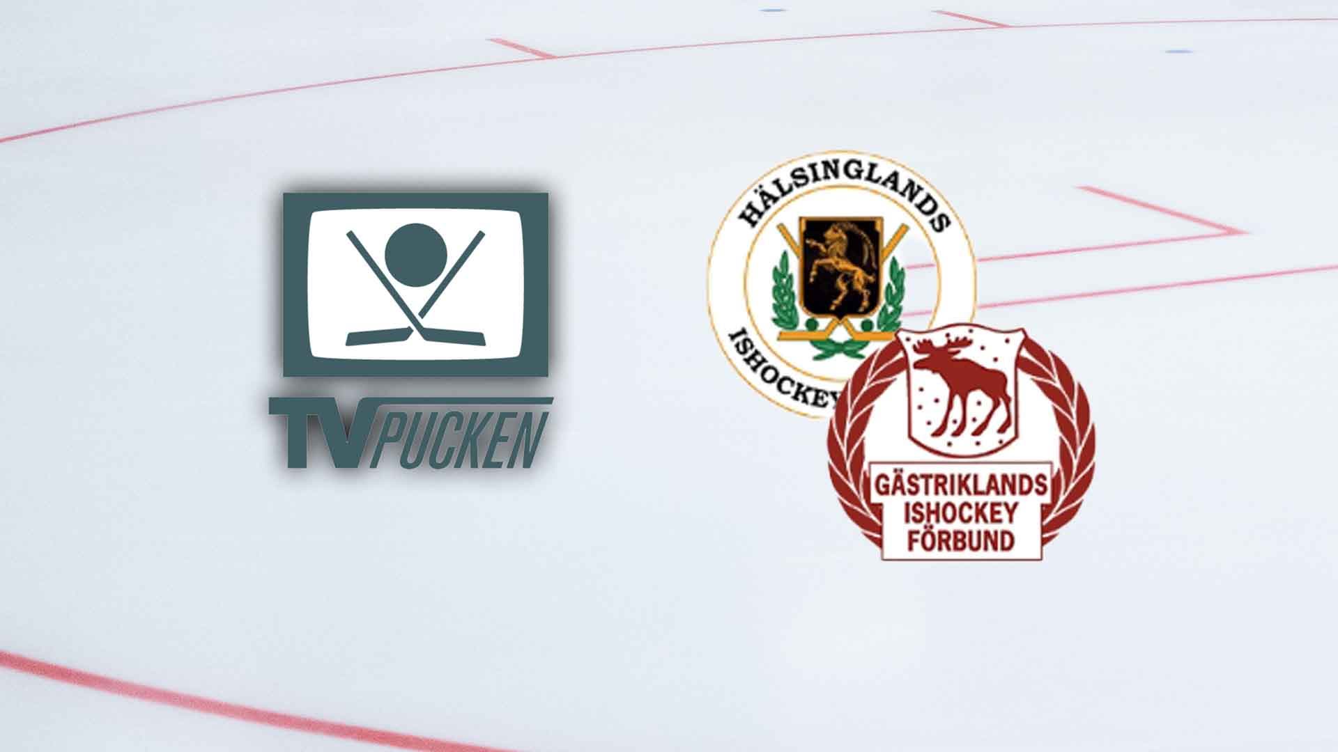 Gästrikland/Hälsingland TV-puck