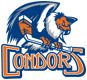 Bakersfield Condors