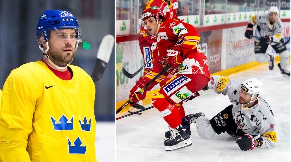 (16493) Viktor Stålberg/Fribourg-Gottéron