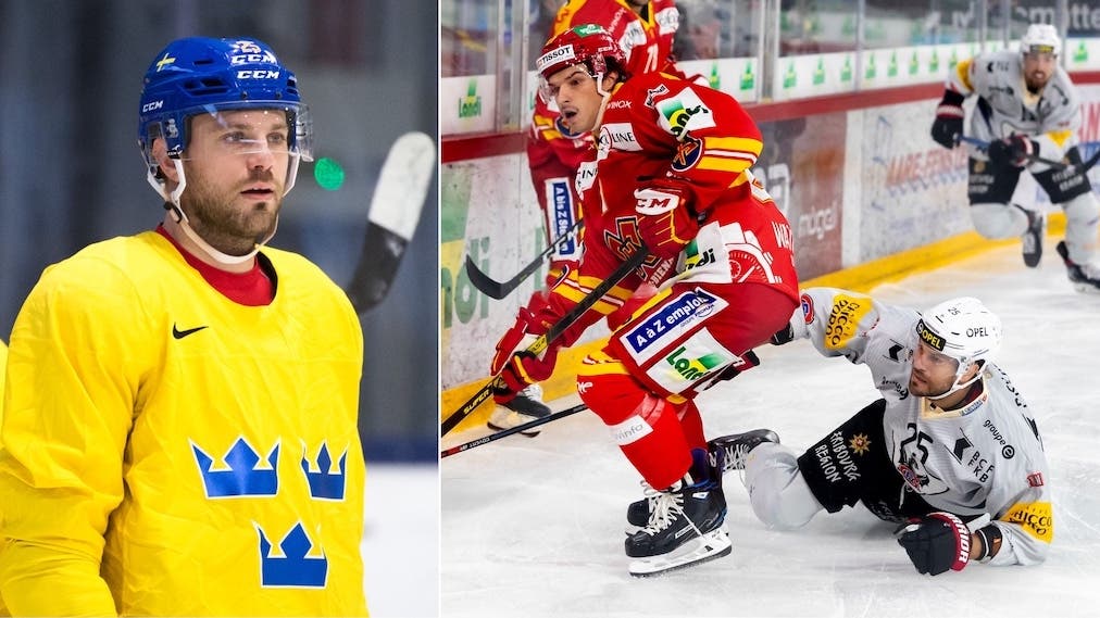 (16493) Viktor Stålberg/Fribourg-Gottéron