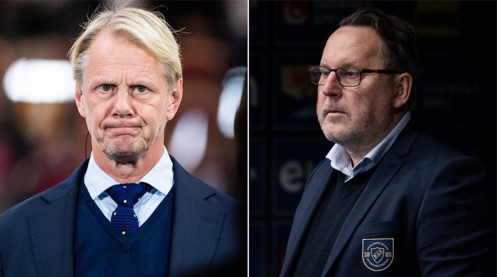 (30757) Wikegård Stoppel