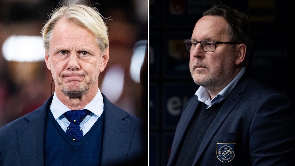 (30757) Wikegård Stoppel