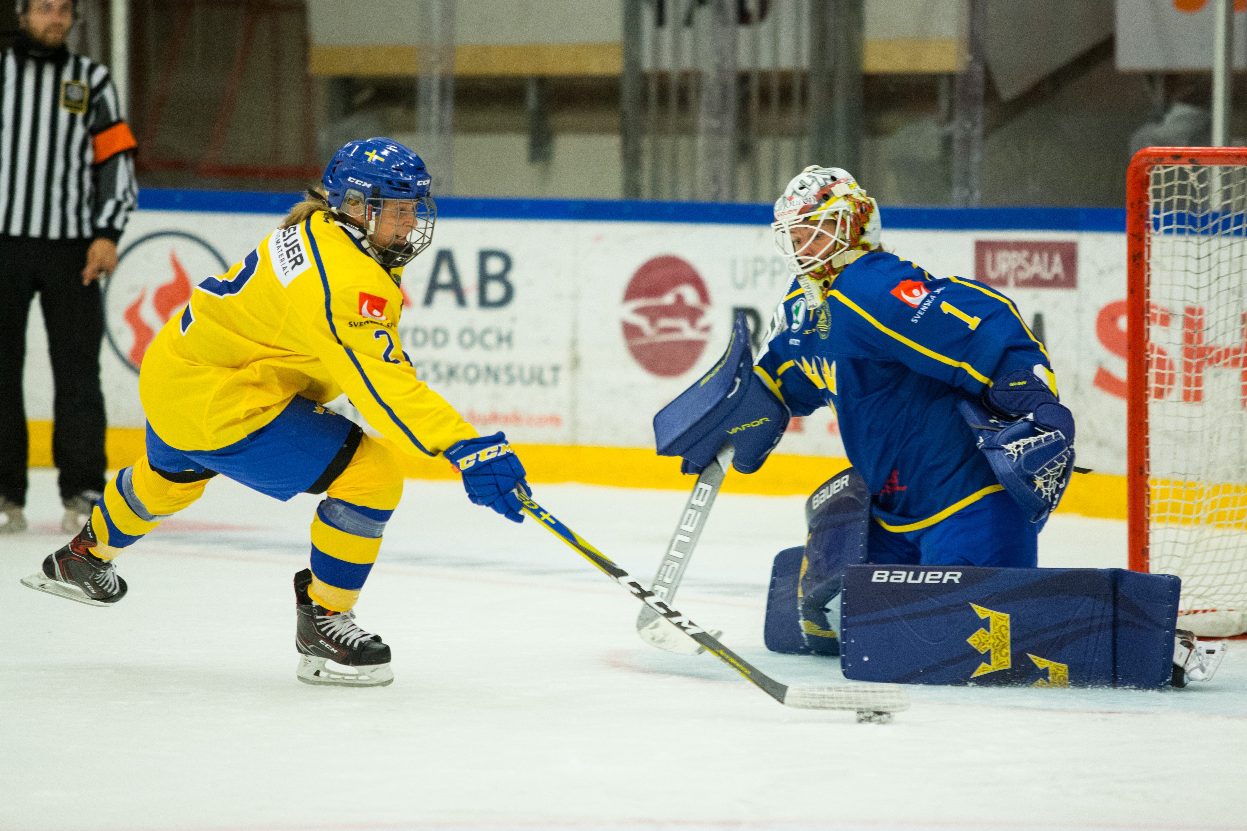 Tobias Sterner/Bildbyrån