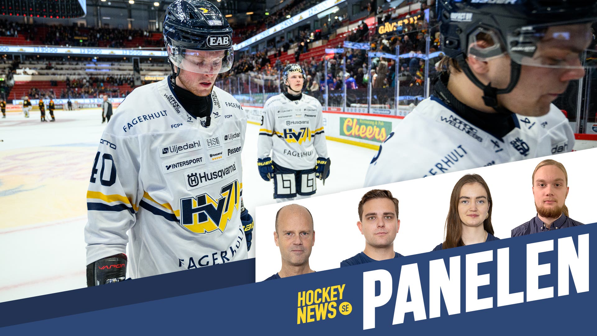 HV71 panel