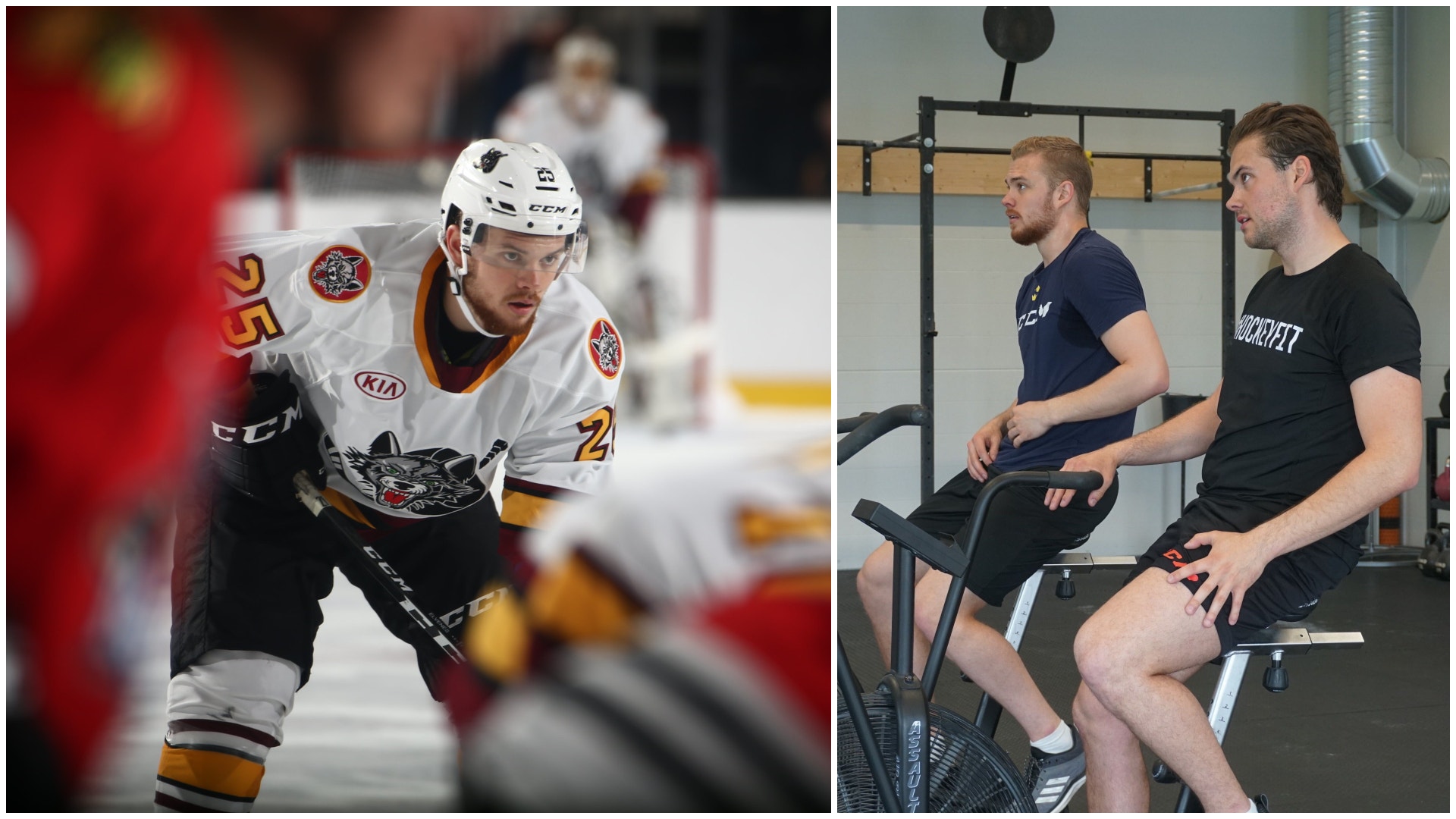 Chicago Wolves/Bildbyrån