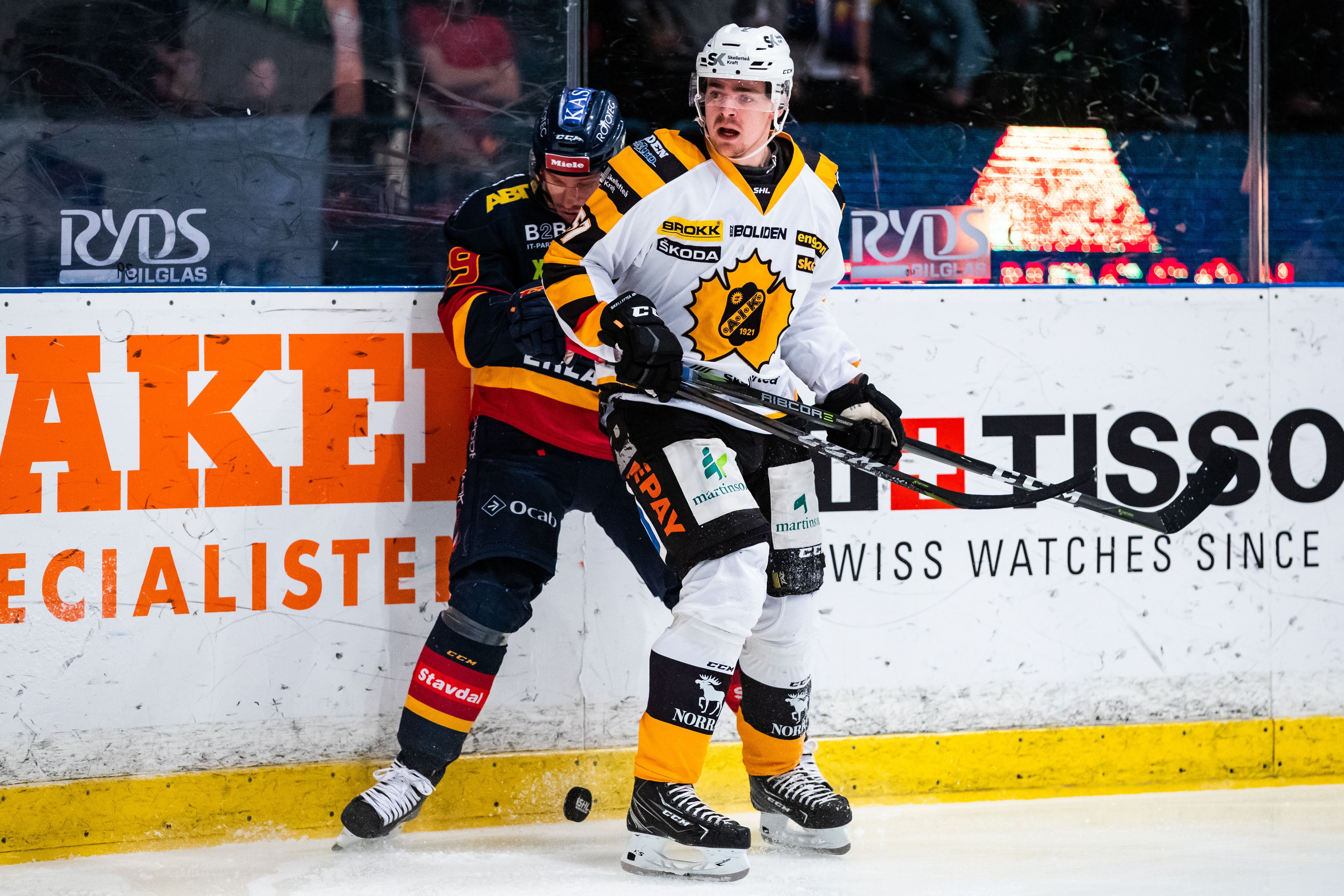 (8311) Emil Djuse