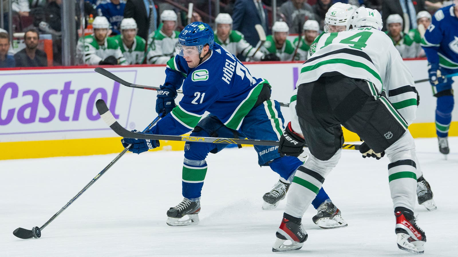 (21242) Nils Höglander