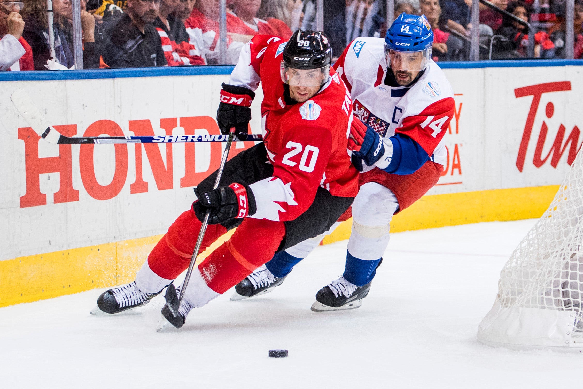 (8478) John Tavares
