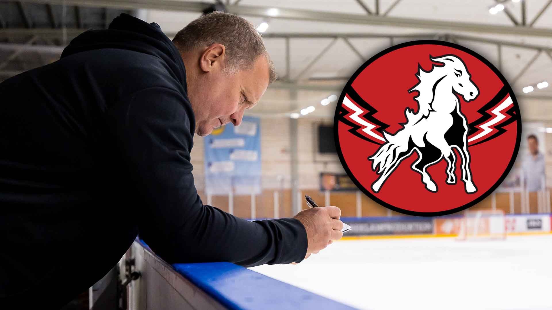 Magnus Sundquist, Vita Hästen