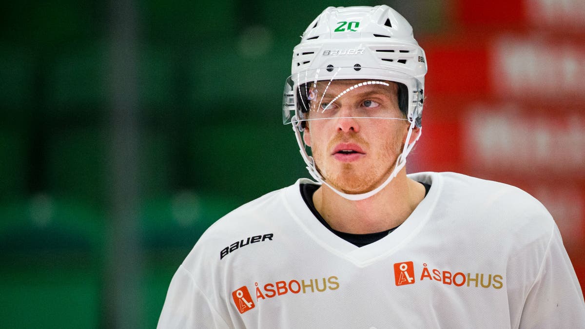(9753) hampus gustafsson
