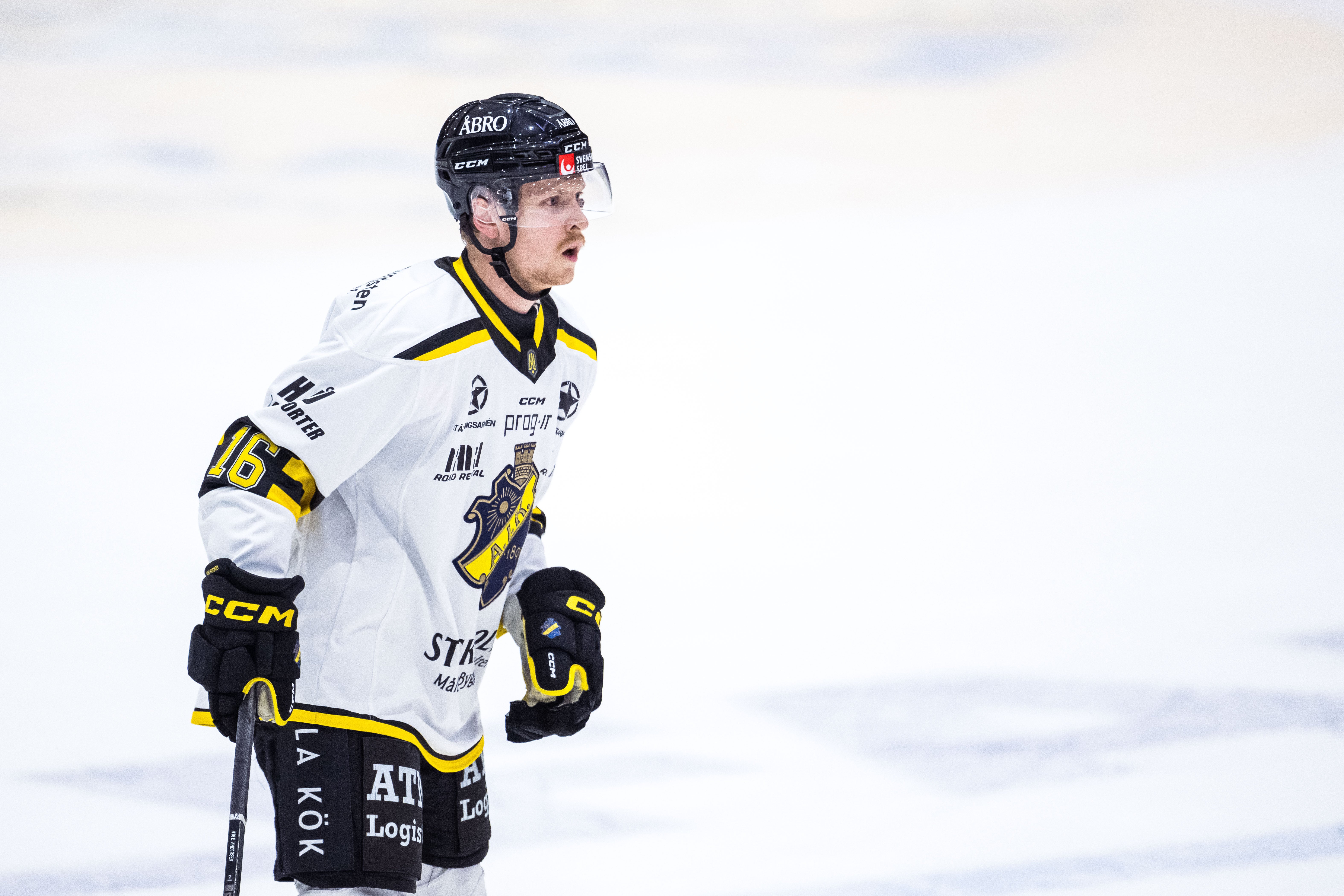 Ole Einar Engeland Andersen