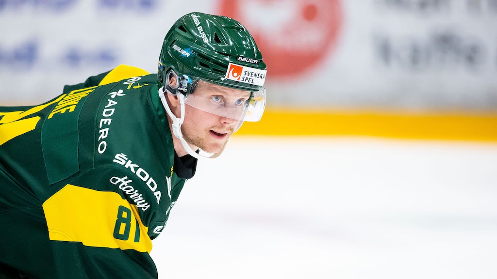 Foto: Johan Löf/Bildbyrån