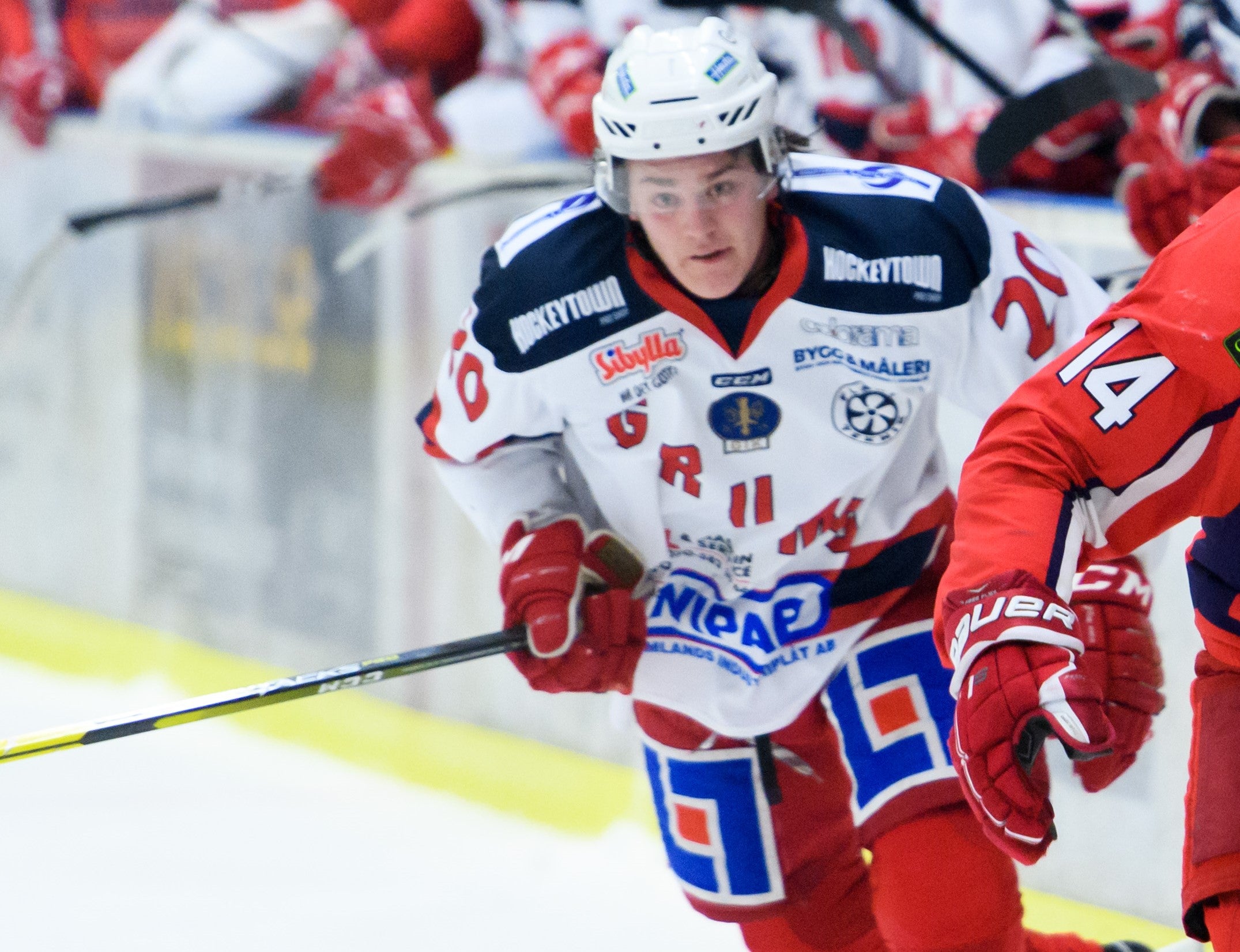 (10449) Pelle Hedlund