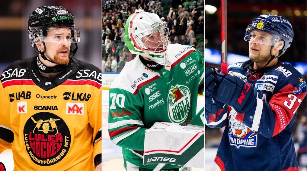 (24773) Shinnimin Pettersson Clang