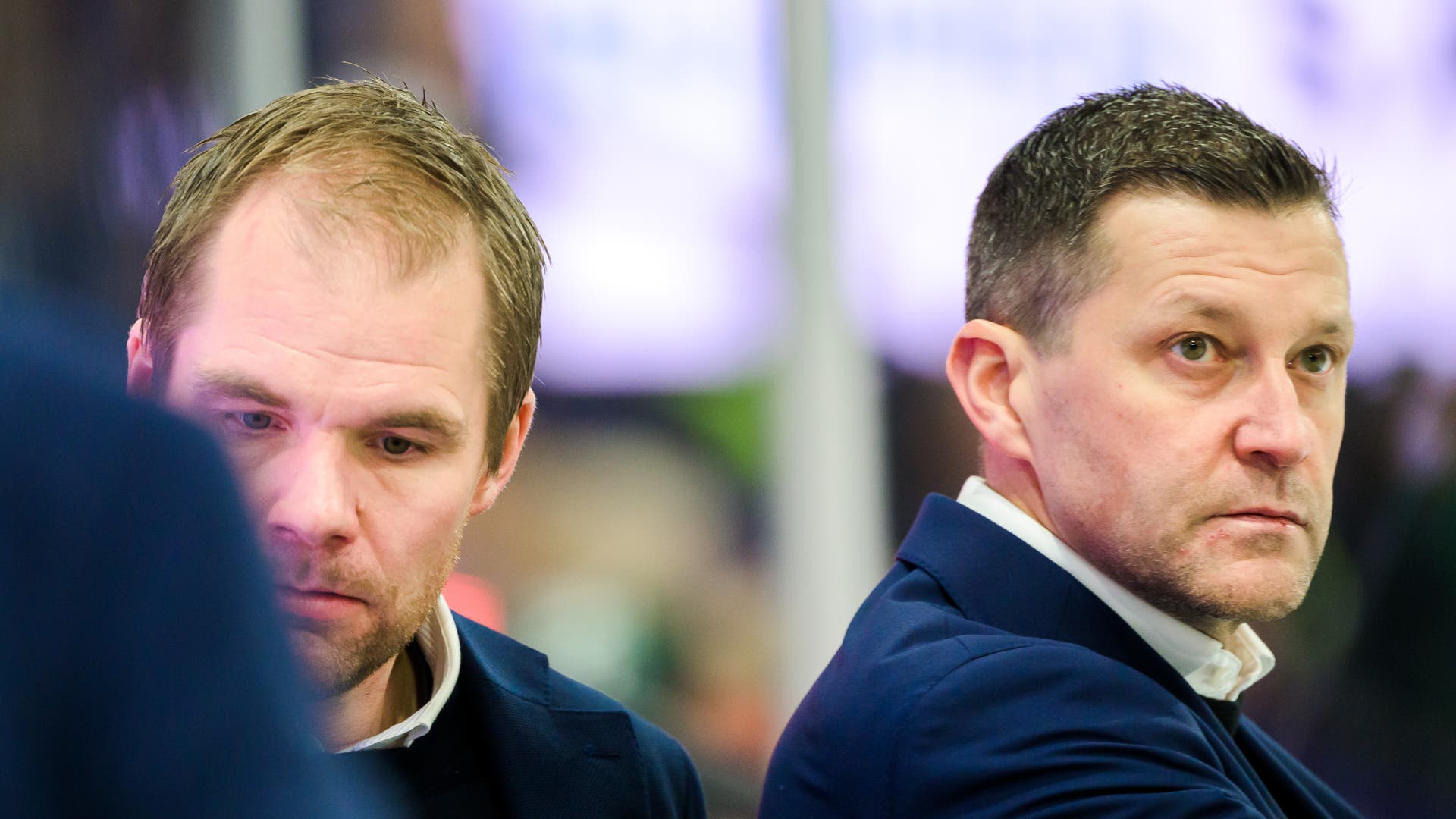 Tomas Mitell, Pelle Prestberg