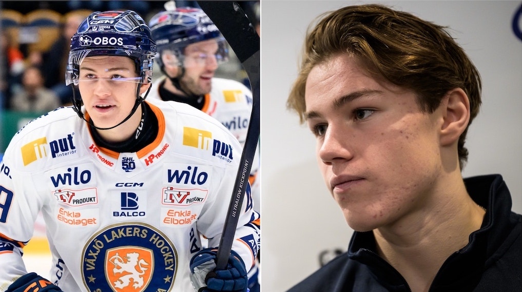 Leo Sahlin Wallenius