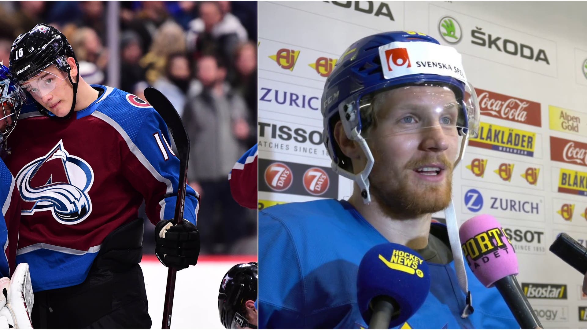 (8710) Gabbe/Zadorov