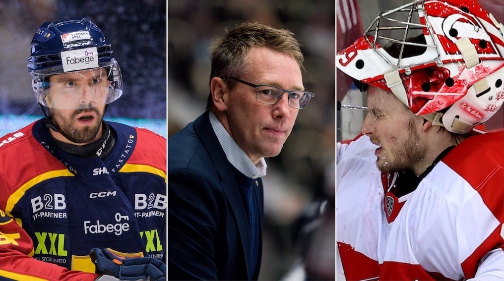 (21766) Videll Åkerman Dansk