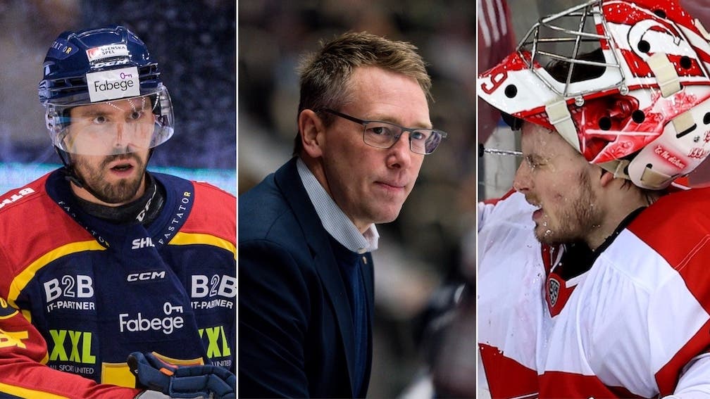 (21766) Videll Åkerman Dansk