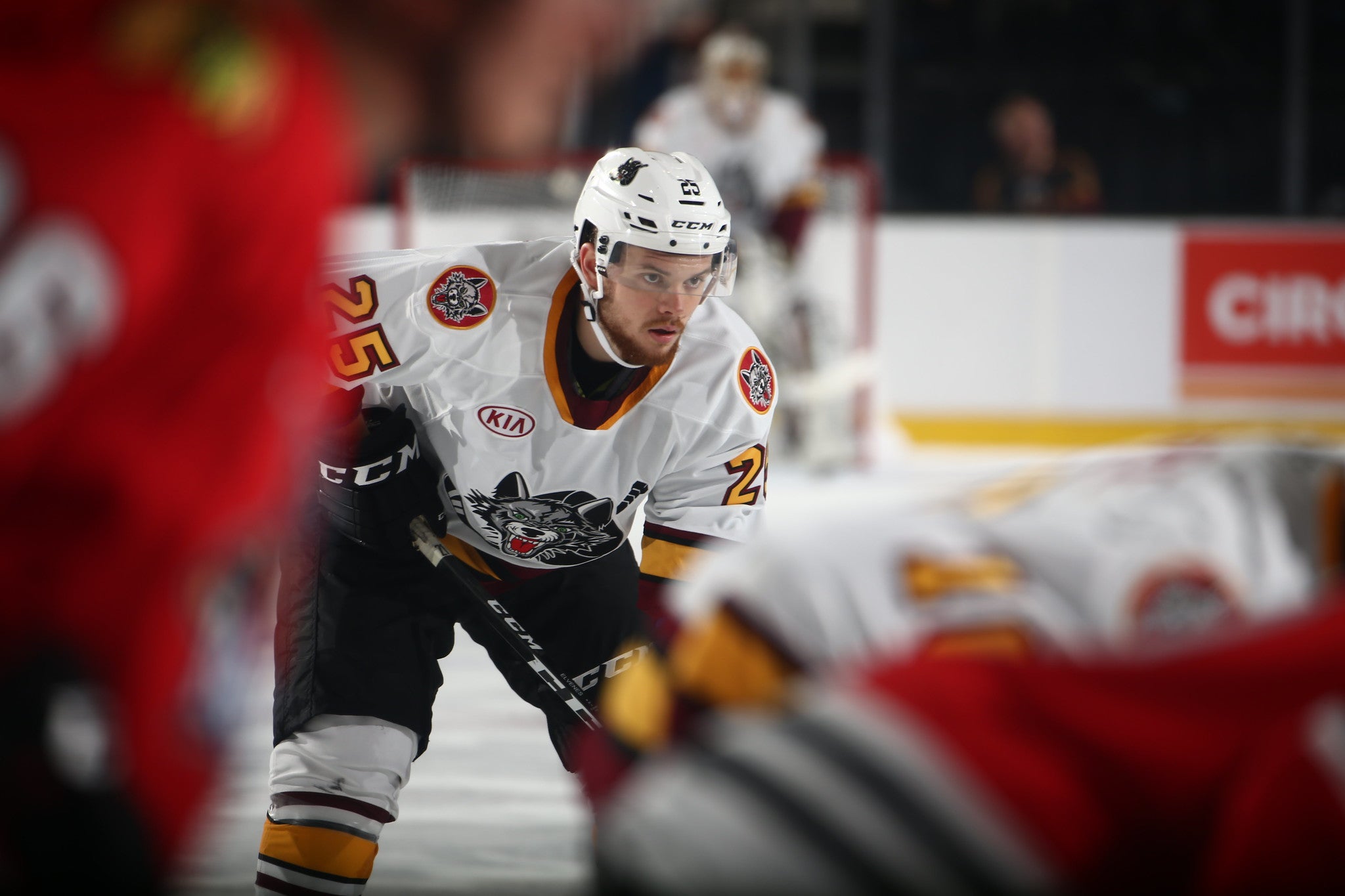 (10525) Lucas Elvenes Chicago Wolves