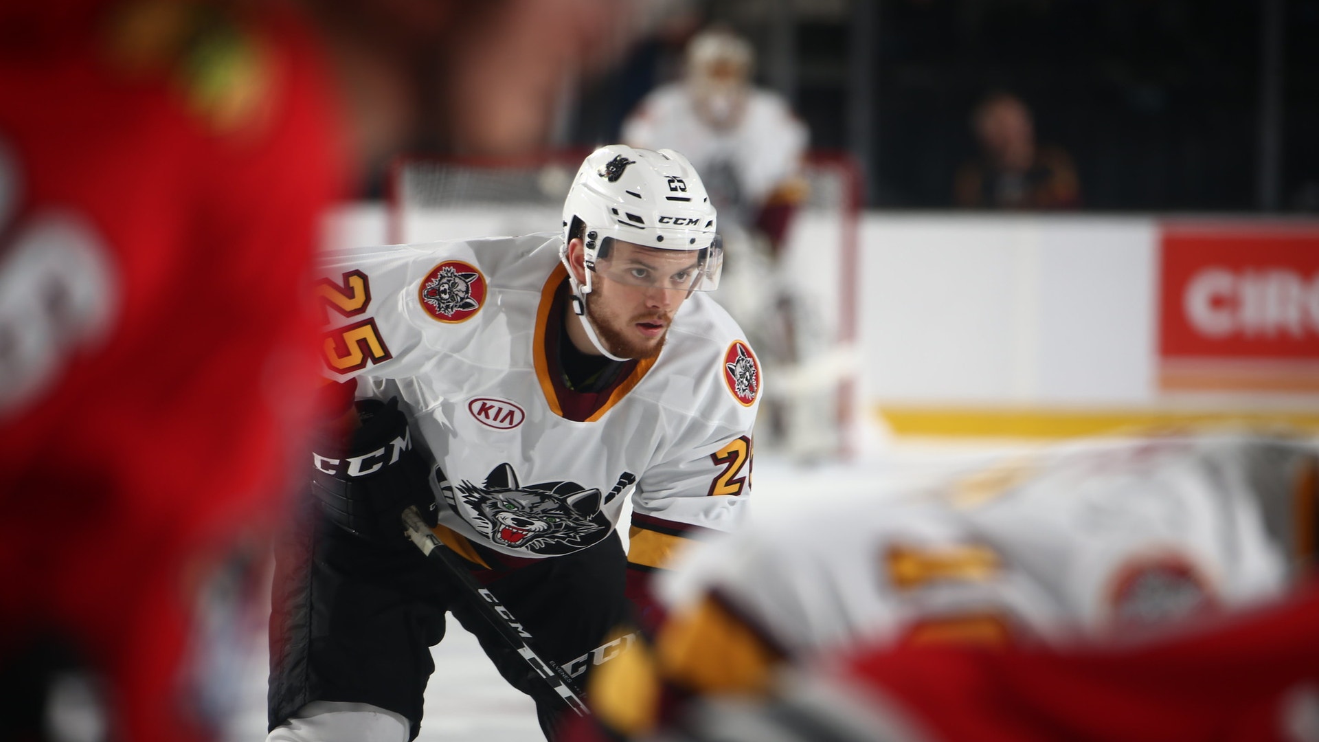 (10525) Lucas Elvenes Chicago Wolves
