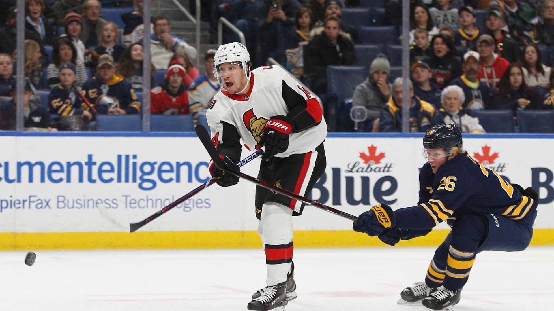 (16970) Max Veronneau