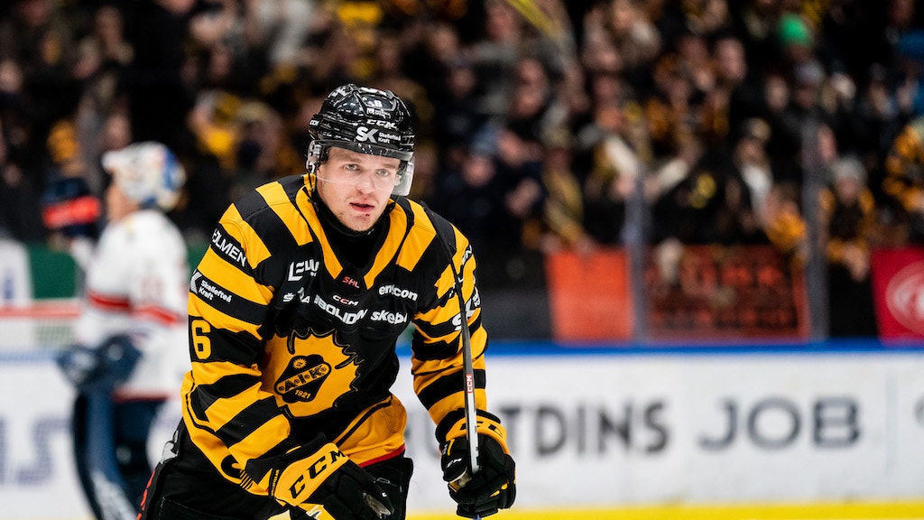 (26131) Måns Forsfjäll Skellefteå