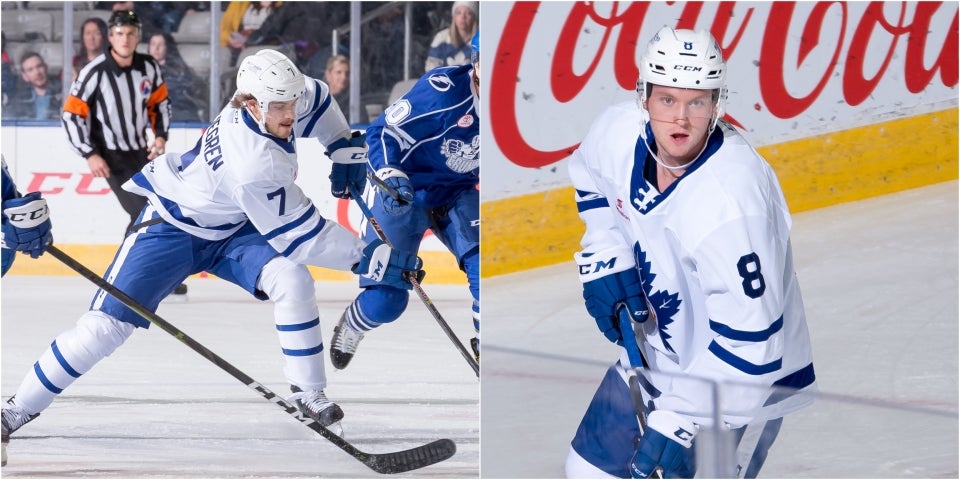 Christian Bonin/Toronto Maple Leafs