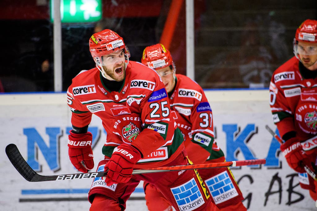 (21364) Sam Vigneault/Modo