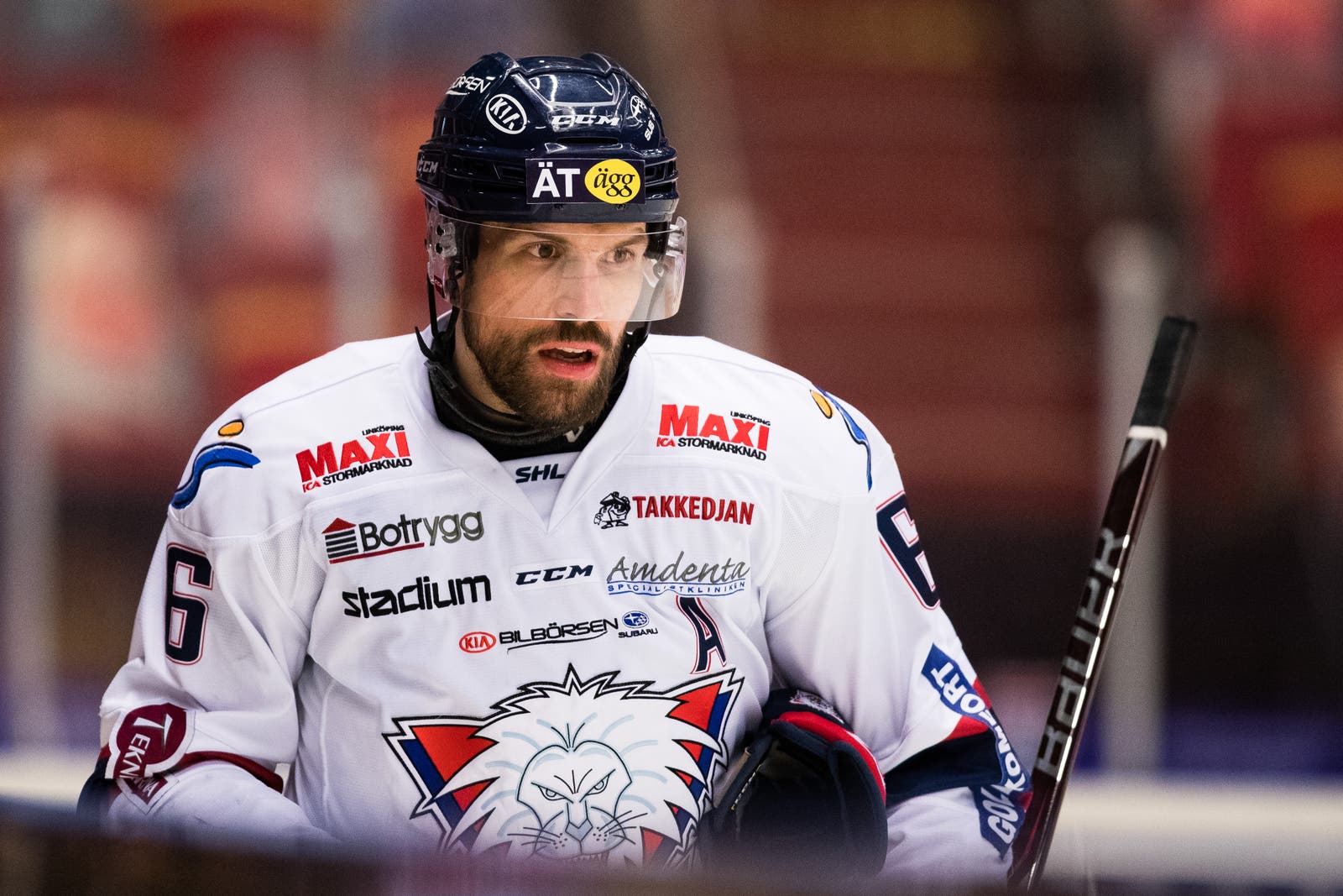 (19735) Jonas Holøs