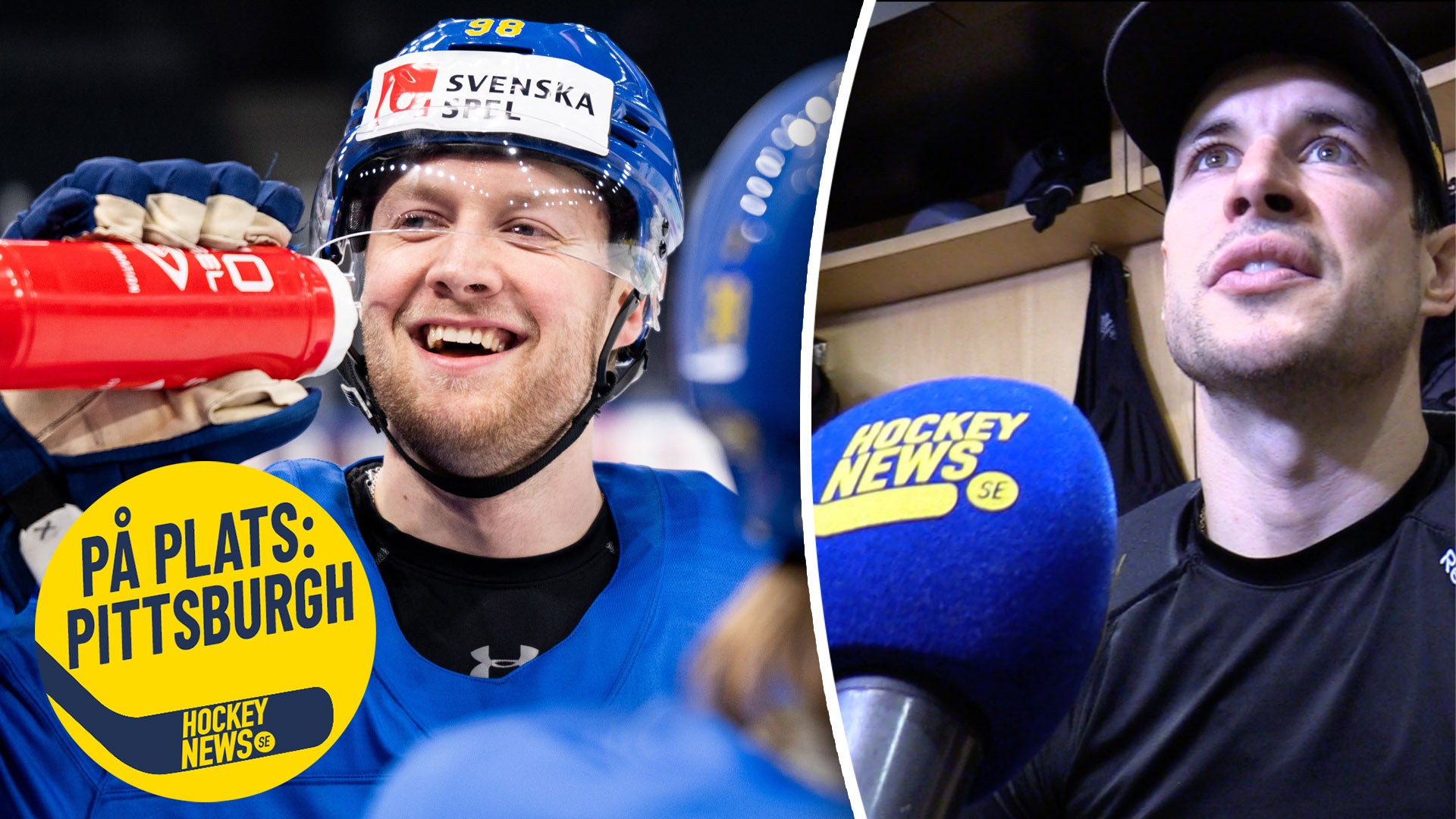 (29253) Crosby Alexander Nylander