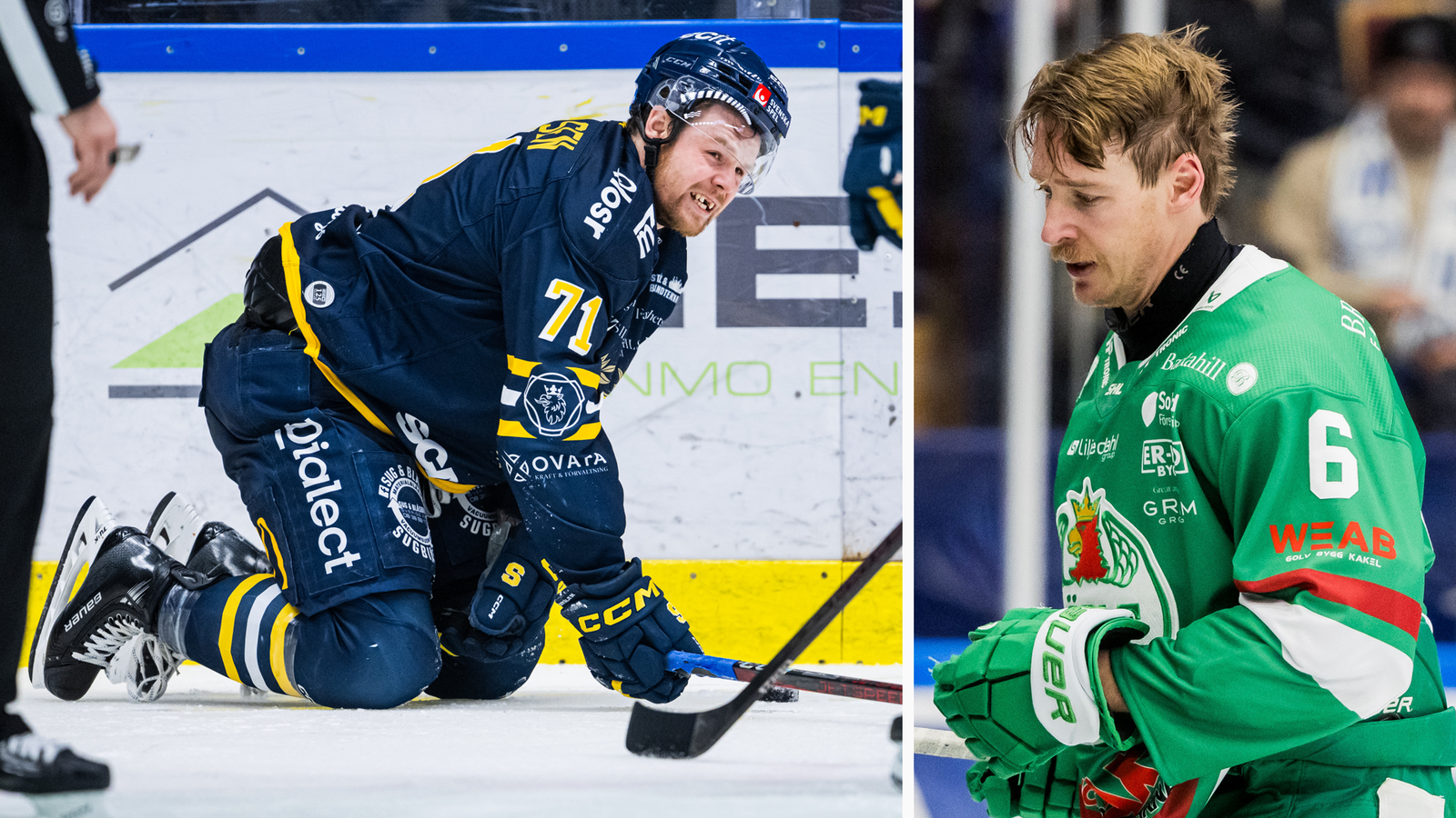 Andrew Nielsen Carter Ashton