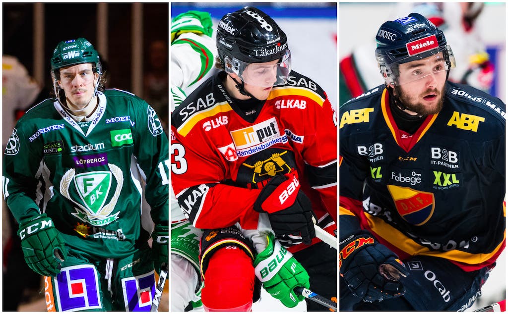 (8881) Nygård/Sellgren/Bemström