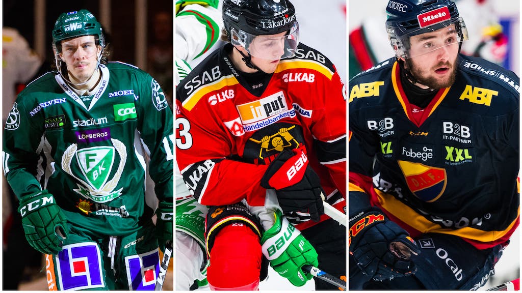 (8881) Nygård/Sellgren/Bemström