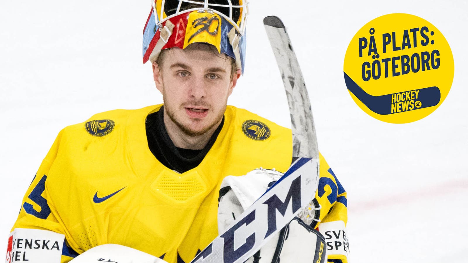 (31033) Hugo Hävelid