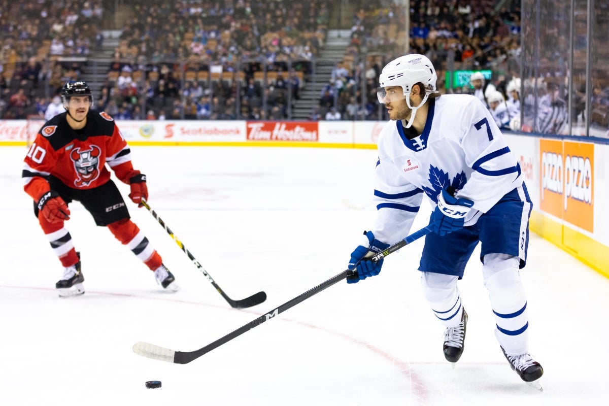 Christian Bonin and Thomas Skrlj/Toronto Marlies