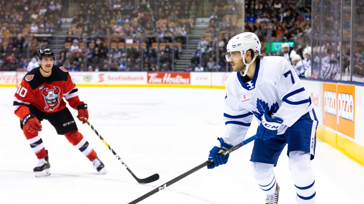 Christian Bonin and Thomas Skrlj/Toronto Marlies