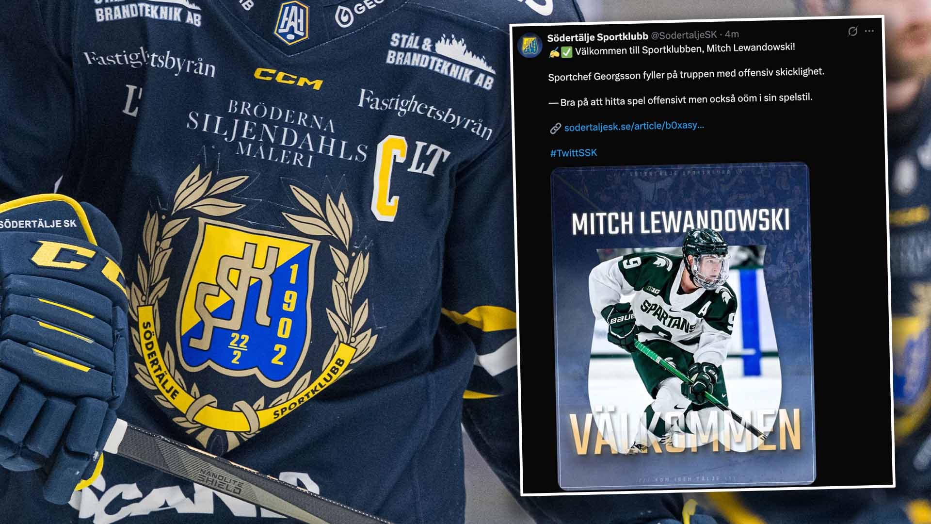 Mitch Lewandowski