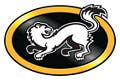 Kärpät