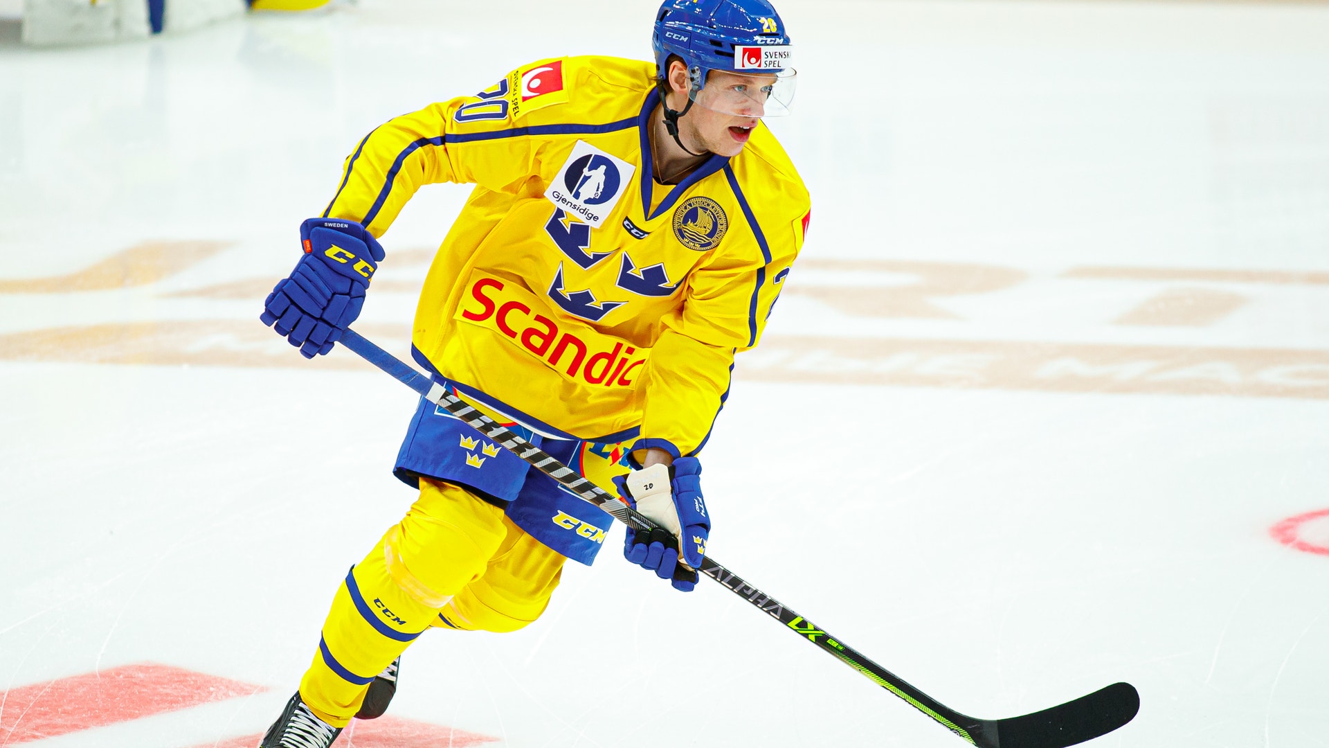 (24137) Lawrence Pilut