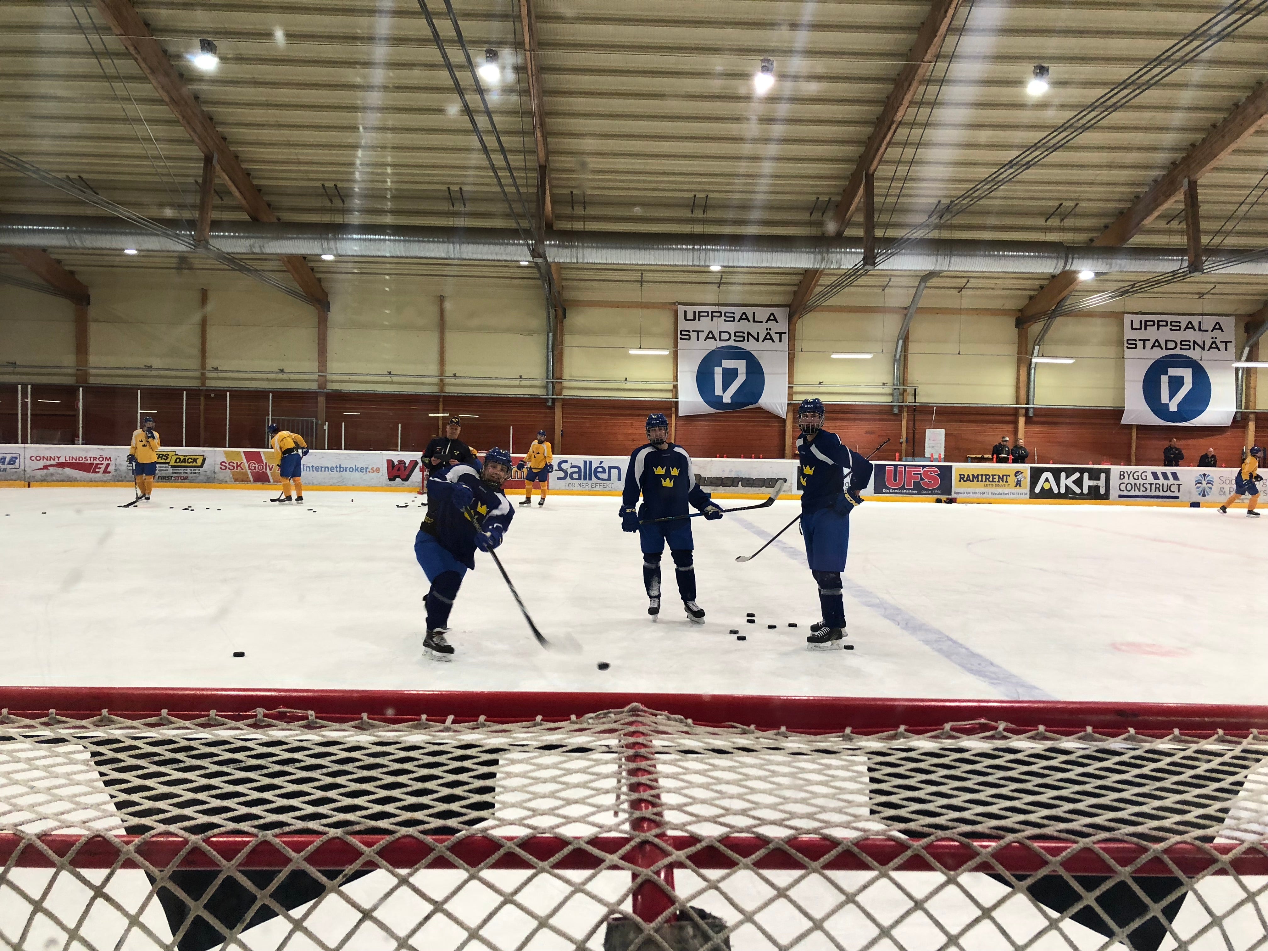 Henrik Sjöberg /Hockeynews.se