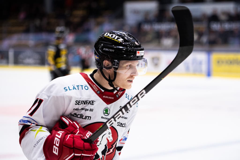 (23381) Alexander Falk / Vita Hästen