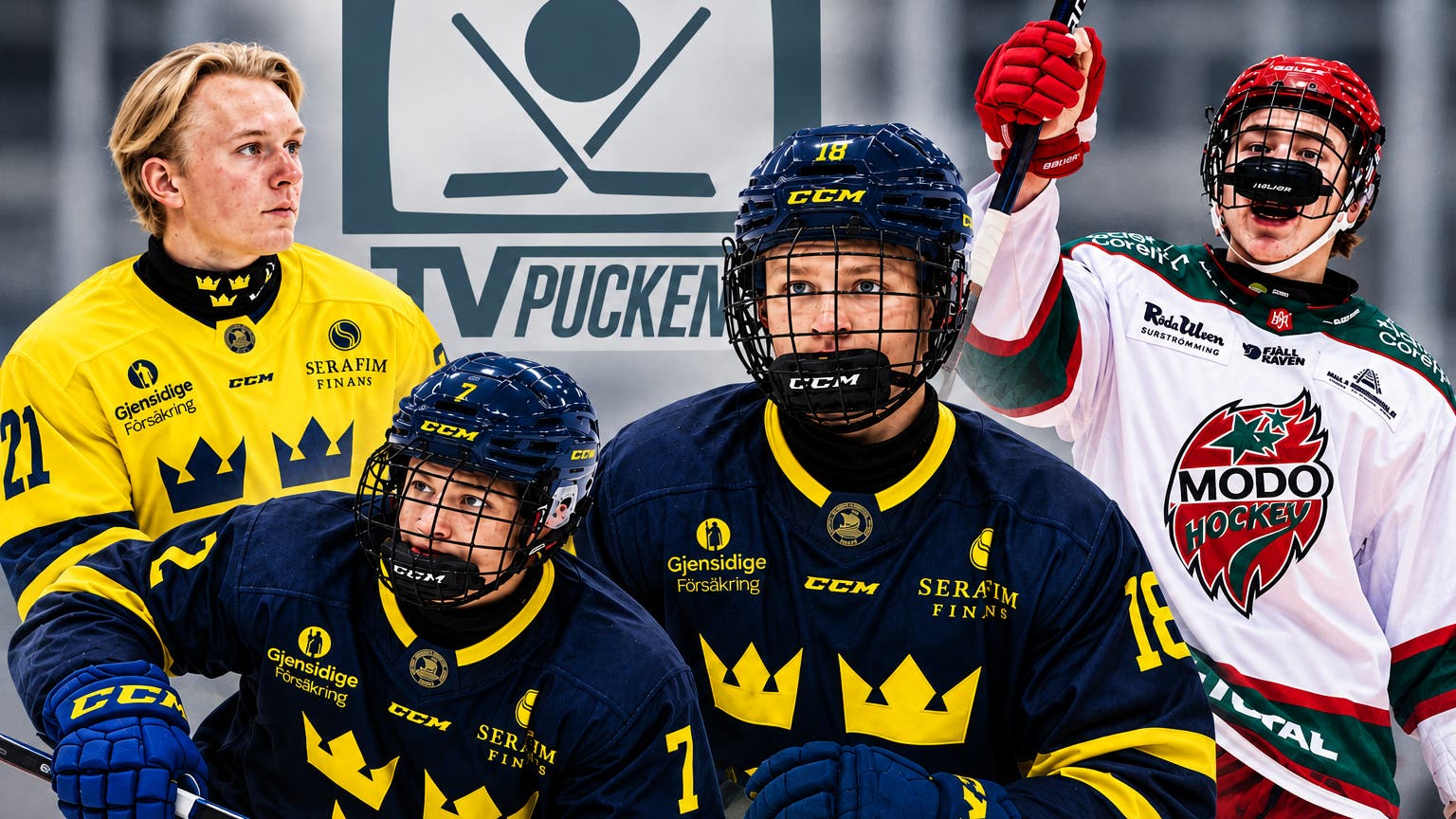 TV-pucken 2009