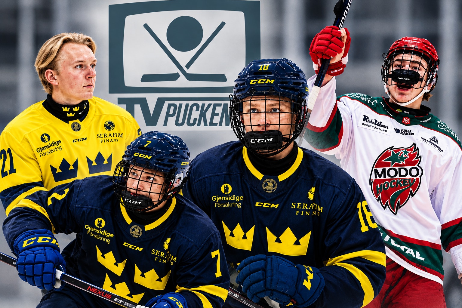 TV-pucken 2009